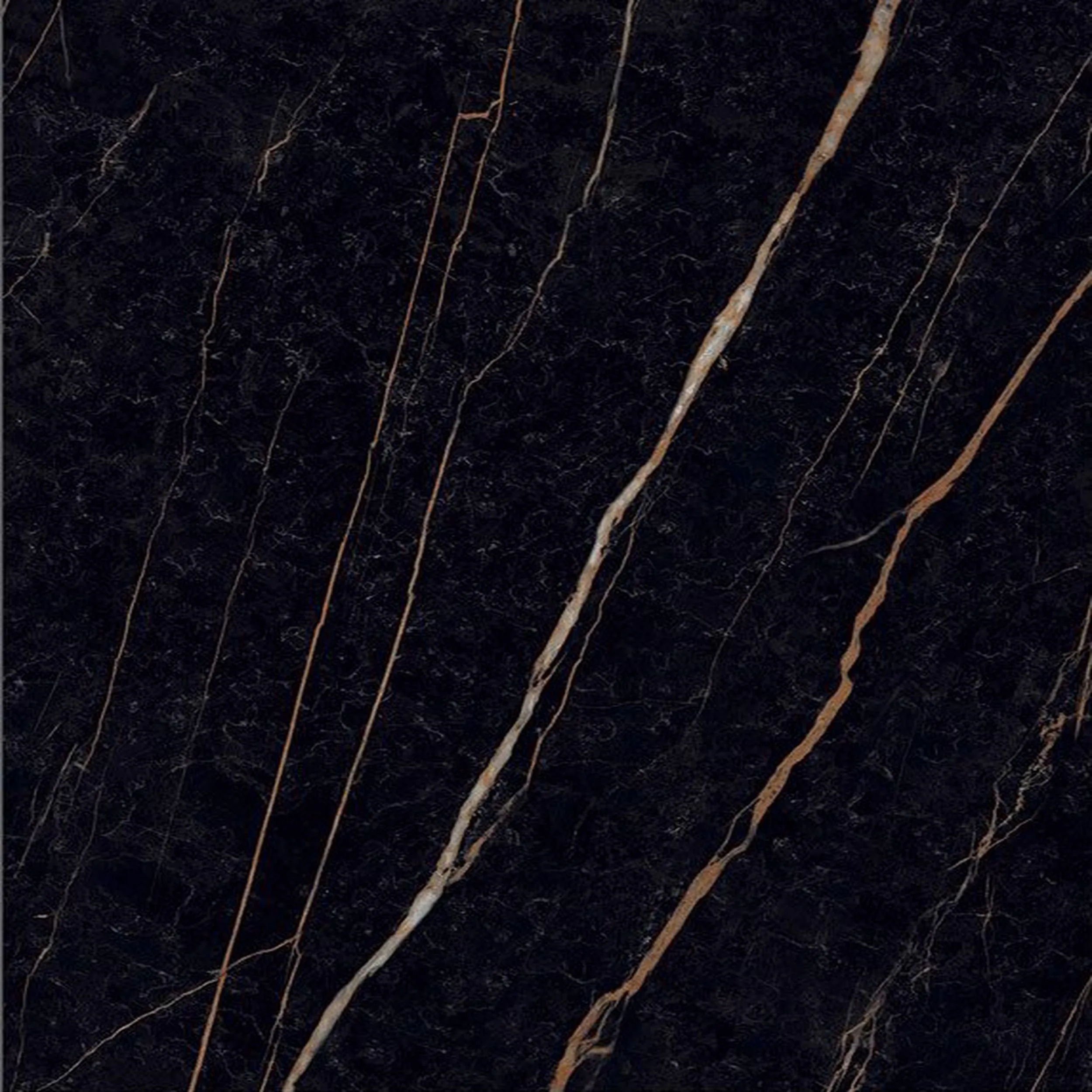 Sahara Noir